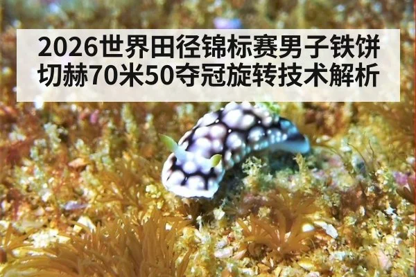 2026世界田径锦标赛男子铁饼切赫70米50夺冠旋转技术解析